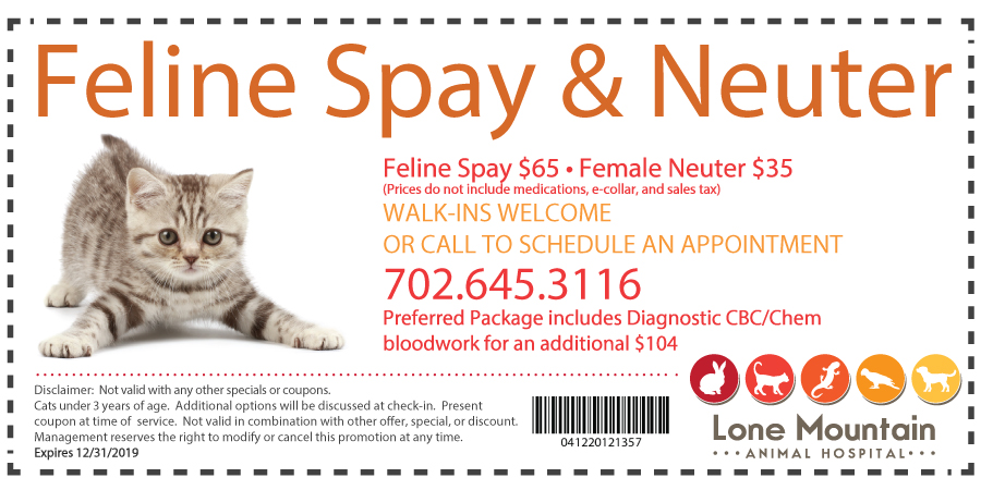 LMAH-Feline-Spay-Neuter-Coupon – Lone Mountain Animal Hospital