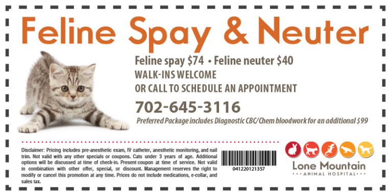 Feline Spay Neuter Coupon 1 Lone Mountain Animal Hospital