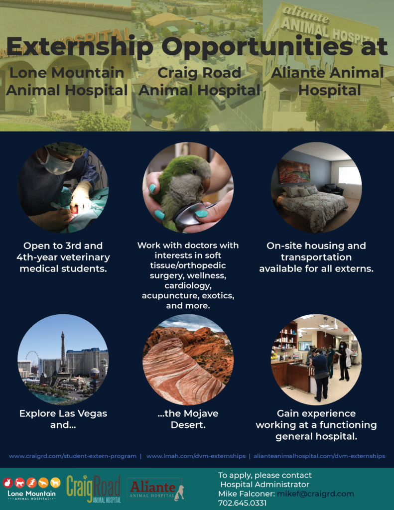 Dvm Externships Lone Mountain Animal Hospital